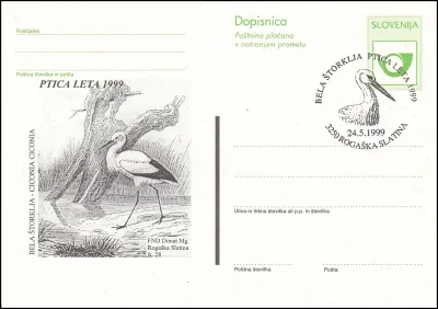PTICA LETA 1999 - BELA ŠTORKLJA - CICONIA CICONIA